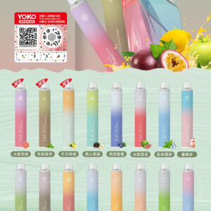 哩亞四代拋棄式🪄6500口可充電🔋超美21口味新上市